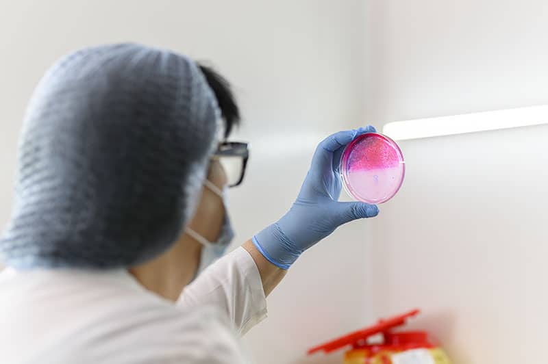 ჩვენ შესახებ